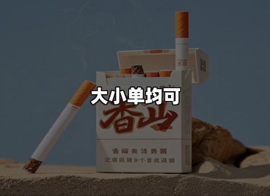 专业优势